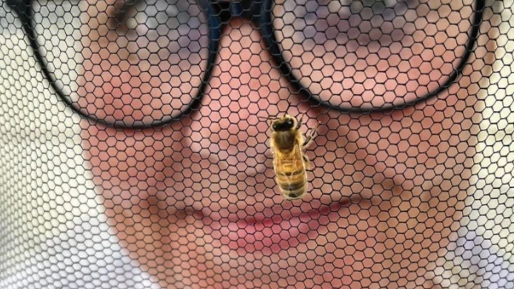 Untitled design - 2026-02-27T101353.471