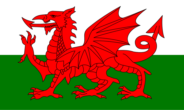 ‘Untested’ Welsh dental reforms mean access crisis will deepen