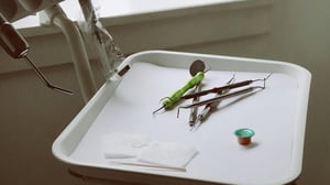 Eleven freehold dental deals